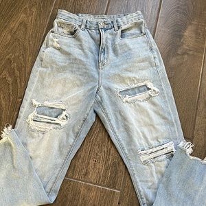 AE Curvy Mom Jean
